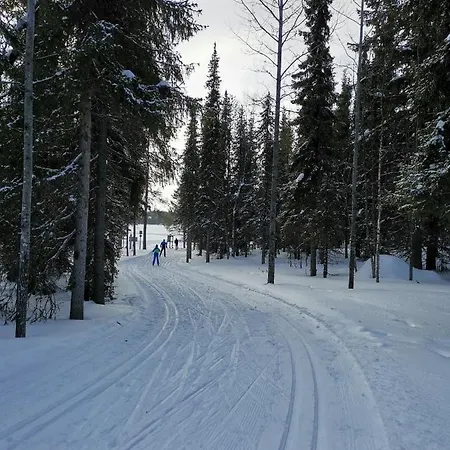 Otsola In Rukatunturi